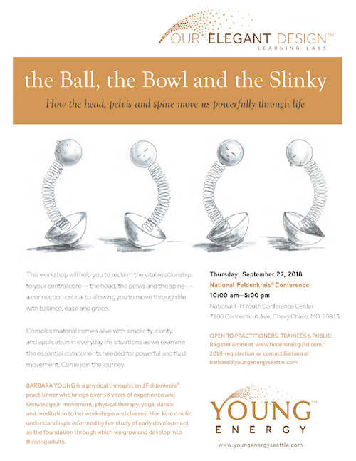 Young Energy | The Ball, The Bowl and the Slinky | September 2018